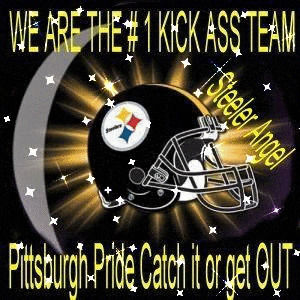 pittsburgh steelers,fans,steeler,city,pittsburgh,mingle