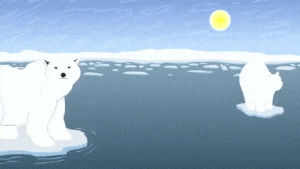 polar bear,animation,youtube,cartoons,frederatorblog,channel frederator,derp