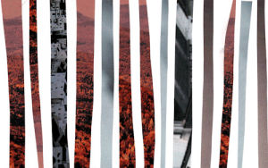 collage,animation,loop,landscape,tumblr featured,stripes,loops,national geographic