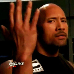 dwayne johnson,wrestling,punk,right,title,cm