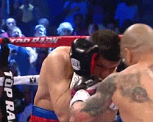 entertainment,fighting,boxing,miguel cotto,middleweight,sergio martinez