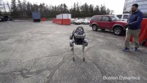 robot,video,dog,boston,spot