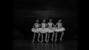 swan lake,black and white,dance,ballet,ballerina