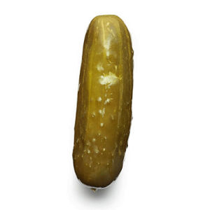 deal with it,pun,pickle
