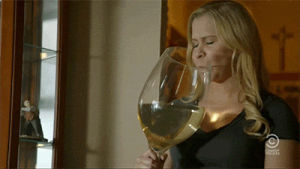 drinking,wine,adult humor,amy schumer,happy hour,wine time