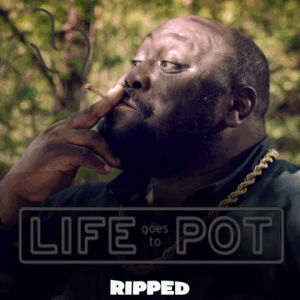 funny,lol,comedy,weed,haha,pot,kush,ripped,faizon love,russell peters,stoner comedy,visittheusa