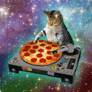 animals,no sense,party cat,black and white,pizza party,psico,cat,love,crazy,pizza,style,acid,galaxy,dj,colours,peperoni