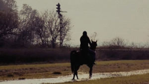 horseback riding,horseback,horse,horses,autumn,sarah,riding,equestrian,arabian horse