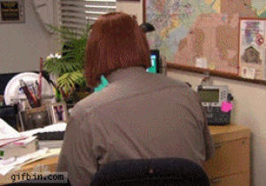 the office,dwight schrute,disguise,wig