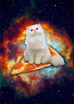 galaxy,cat,trippy,space,psychedelic,pizza,majestic