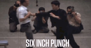 punch,bruce,lee,inch,punchbruce