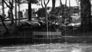 alcrego,bench,loop,cinemagraph,rain,city,park,eternal loop,dirty jared leto,a l crego