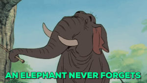 an elephant never forgets,elephant,forgot,jungle book