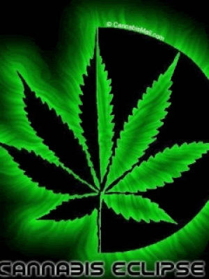 Картинки с коноплей скачать анализ марихуану