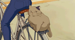 bicycle,ghibli,cat,boss