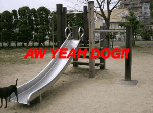 aw yeah dog,hell yeah,dog,excited,slide,hell yes,hell ya