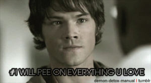 jared padalecki,reaction,supernatural,sam,sam winchester,insult,i hate you,i will pee on everything you love