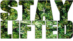 stoner,high,stoned,smoke weed,smoke weed everyday,get high,roll up,highlife