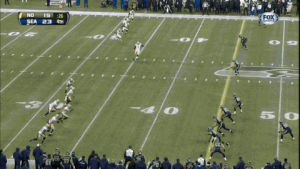 GIF report seahawks bleacher - animated GIF on GIFER