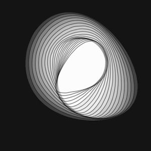 creative coding,processing,black and white,perfect loop,p5art,openprocessing
