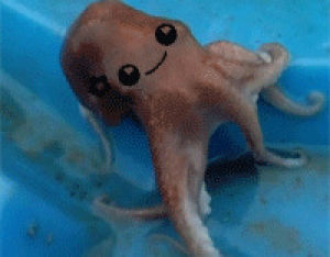 octopus,feels,reaction,falling,sad,fandom,lotr