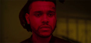 beauty behind the madness,the hills,the weeknd,xo,abel tesfaye