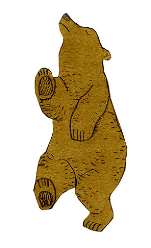 animals,dancing,adorable,bear,standing,grizzly bear,art design