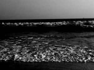 black and white,nature,ocean,own