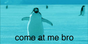come at me bro,penguins,penguin,come at me,animals,dance step,stepping in place