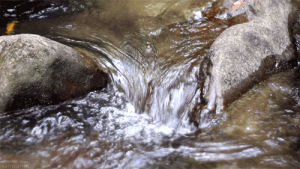 stream,water,flowing