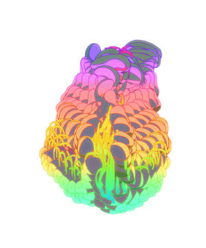 fluid,animation,loop,psychedelic,neon,jelly,ori toor,wobbly