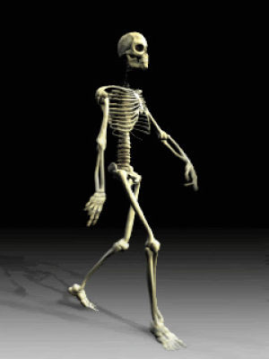 3d,skeleton,walking