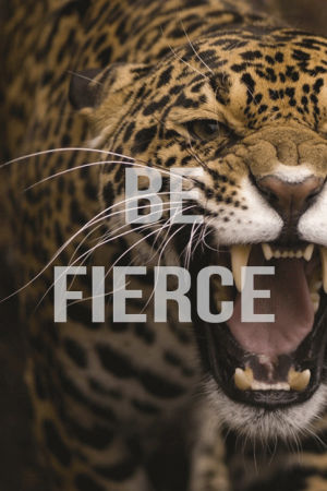 hd,leopard,be fierce,hq