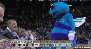 nba,charlotte hornets,inappropriate,bad touch