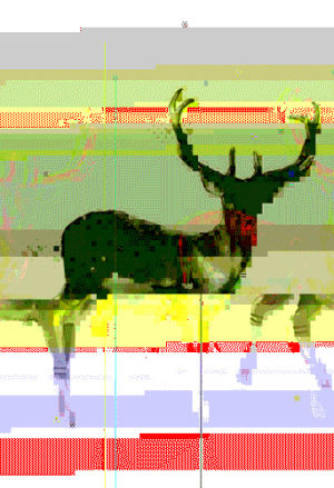 deer,glitch,radar,tumblr,painting,glitch art,remix,g1ft3d,new media,find out why,soccerthe
