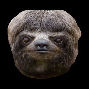 sloth,slothmoji
