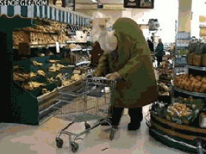shopping,grocery,camel