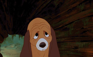 the fox and the hound,cute,disney,puppy,adorable,friendship,todd,copper,walt disney animation studios,baby animals,disney art,baby fox,set,yves