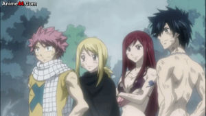 Free: Lucy Heartfilia Natsu Dragneel Erza Scarlet Fairy Tail Anime