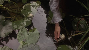 water lilies,witchcraft,film,90s,nature,1990s,witch,garden,scenery,pale grunge,the secret garden