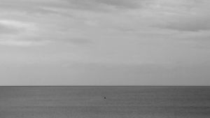black and white,loop,cinemagraph,ocean,sea,alcrego,eternal loop,rowing,a l crego,bw
