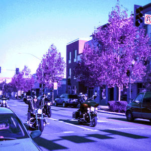 motorcycle,purple,jon moxley,film,35mm,nimslo,wigglegram,lomography,lomochrome,wwe