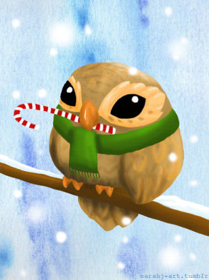 christmas,snow,owl,animals,holiday,myart,holiday card