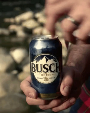 beer,busch,busch beer
