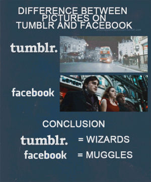 harry potter,muggles,funny,tumblr,picture,facebook,queue,wizard,difference,harry potter and the deathly hallows,harry potter 7