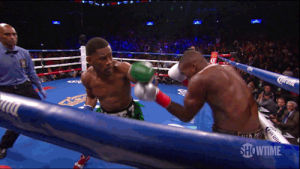 boxing,ko,knockout,tko,showtime sports,daniel jacobs,peter quillin,showtime boxing