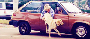 marley and me,movie,dog,car,walk,pets,jennifer aniston