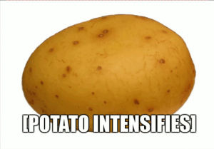 potato,sorry