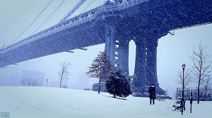 bridge,manhattan,cinemagraph,snowy