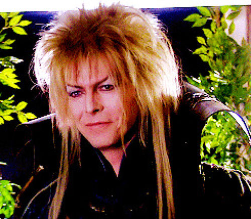 Download Funny Gifs Goblin King Gif Vsgif Com